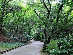 -宝岩生态观光园