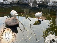 -龙华寺