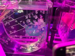 -沈阳海洋探索中心