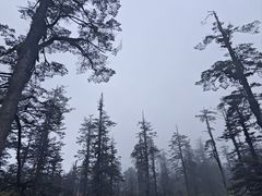 -瓦屋山景区