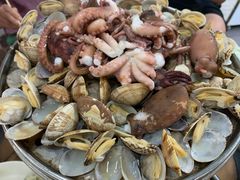 清蒸蛤蜊-九层海鲜塔(市南店)