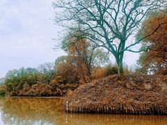 -西溪国家湿地公园