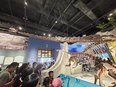 -国家自然博物馆