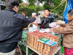 -马文章胖子甑糕(洒金桥店)