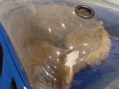 -瑞派康怡24h宠物医院·犬猫医疗中心·微创绝育(瑞景分院)