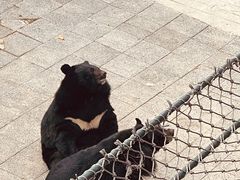 -大连森林动物园