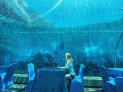-海棠湾洲际-涛·海底餐厅·美人鱼·自助餐·海底隧道