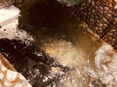 -蜀留香石锅鱼(六顺街店)