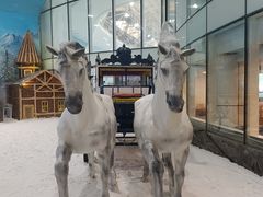 -世界之窗阿尔卑斯冰雪世界