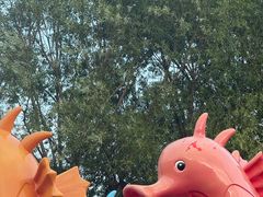 -秦皇岛乐岛海洋王国