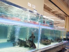 -盒马X会员店(上海森兰商都店)