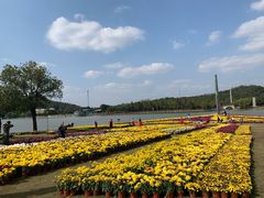 -上海月湖雕塑公园