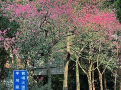 -天河领展广场