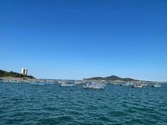 -海源公园