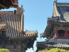 -彭记铁锅肥肠(东四总店)