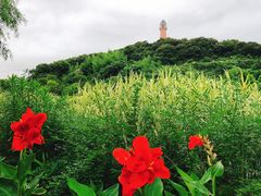 -浙江大学(舟山校区)