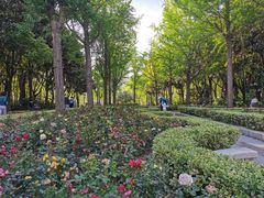 -苏州河梦清园环保主题公园