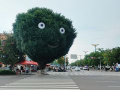 -特克斯八卦城