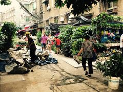 -花市豌杂面(民生路店)