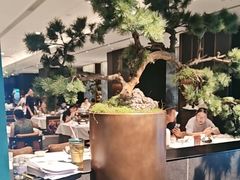 -金春禧(世茂国际广场店)