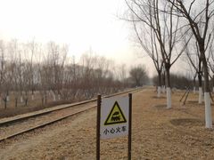 -永定河休闲森林公园