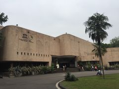 -自贡恐龙博物馆