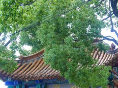 -翠湖公园