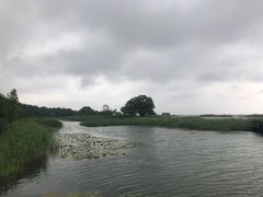 -苏州太湖湖滨国家湿地公园