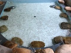 -御池园(顾村公园店)