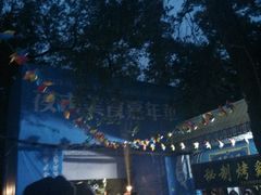 android_upload_pic-哈尔滨文化公园