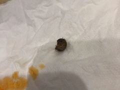 -秦镇史玉林凉皮(翡丽城店)