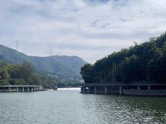 -银湖山郊野公园-相思林