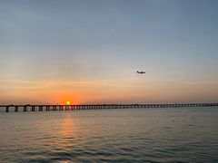 -宝安西湾红树林湿地公园