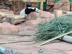 -秦皇岛野生动物园