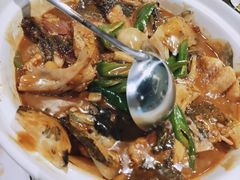 -陶然风味园(广场路店)