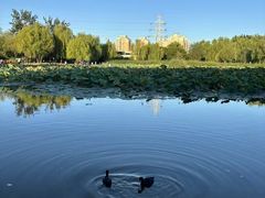 -太阳宫公园