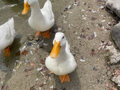 -Club Med地中海俱乐部·桂林度假村