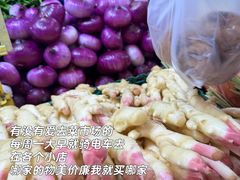 -EF教育成人英语(望京中心)