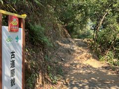 -羚羊峡古栈道森林公园