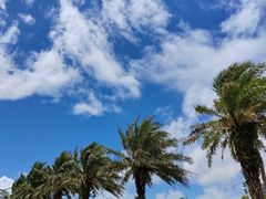 -玫瑰海岸文化旅游度假区