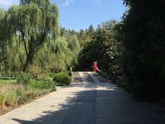 -柳莺湖上·湖景餐厅·江南菜(西湖店)