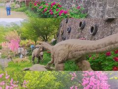 -盛世牡丹苑生态文化旅游区