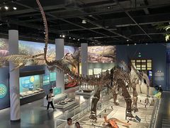 -国家自然博物馆