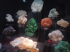 -烟台自然博物馆