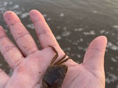 -东戴河风景区-止锚湾