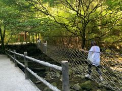-神龙峡风景区