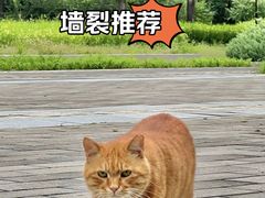 -北坞公园