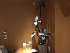 -良木缘咖啡西餐(川大店)