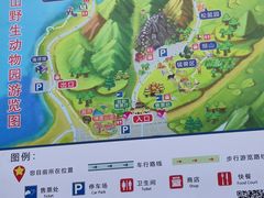 -西霞口神雕山野生动物世界