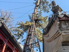 -潭柘寺景区
